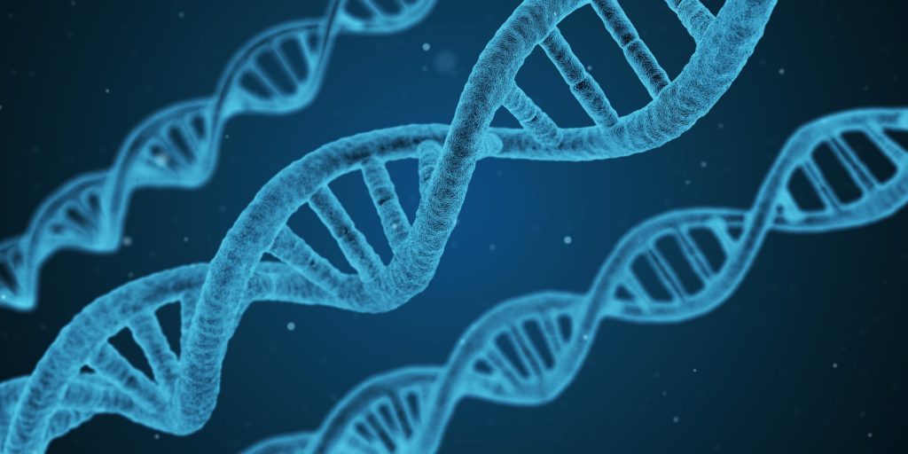 endometriose genetique